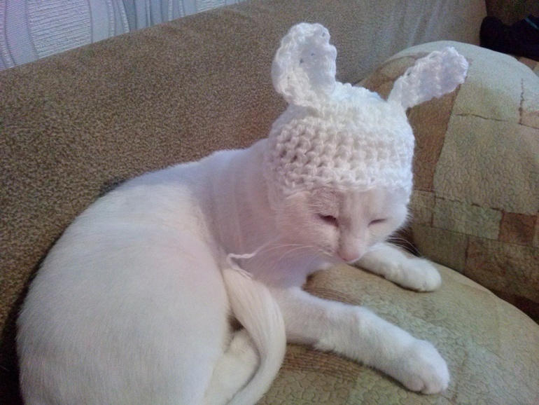 чтобы кошка-Буся не замерзла в такую погоду....