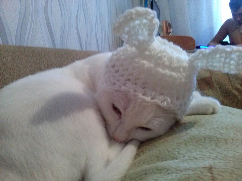 чтобы кошка-Буся не замерзла в такую погоду....