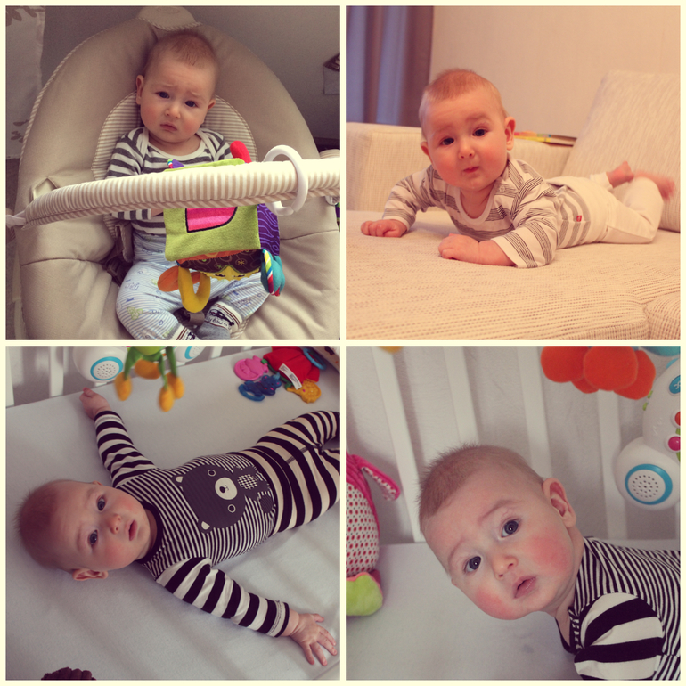 Ярославчику пять!