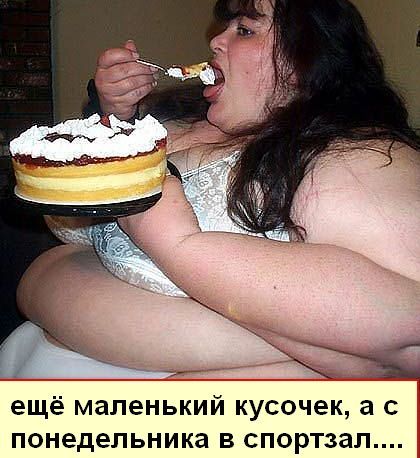 2abe808665662a4e4e0d56031af34b40.jpg