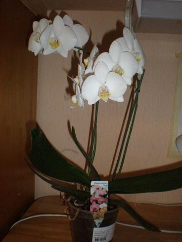 Взлет 72. Шаг 6