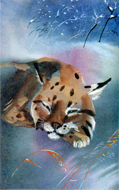 Мои неожиданные Трауготы. Длиннопост.