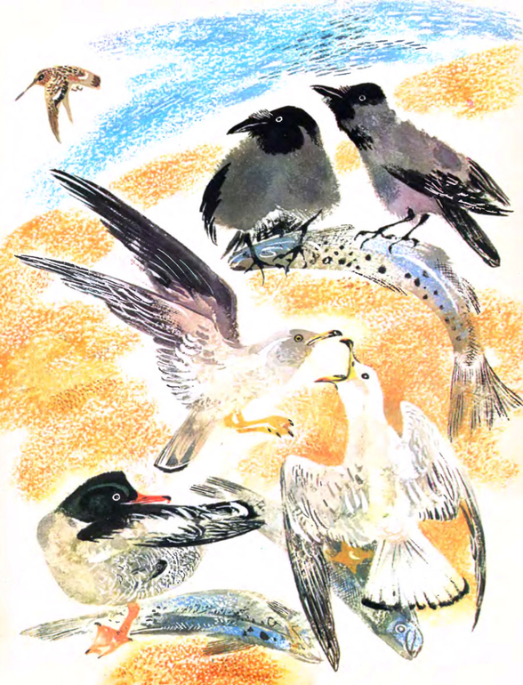 Ваши любимые иллюстраторы