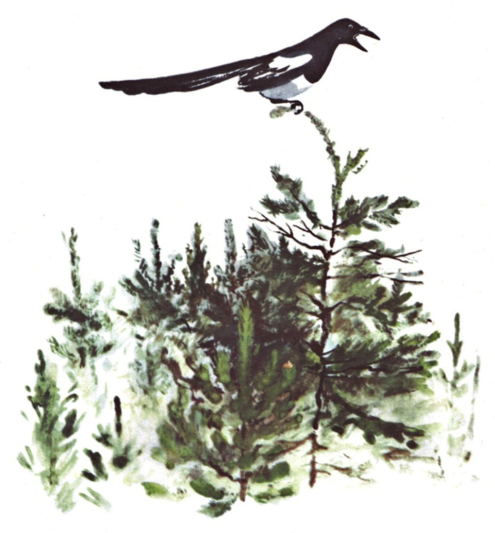 Ваши любимые иллюстраторы