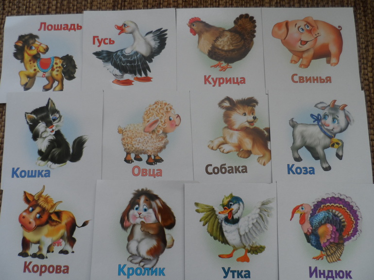 Развивалки 1 год