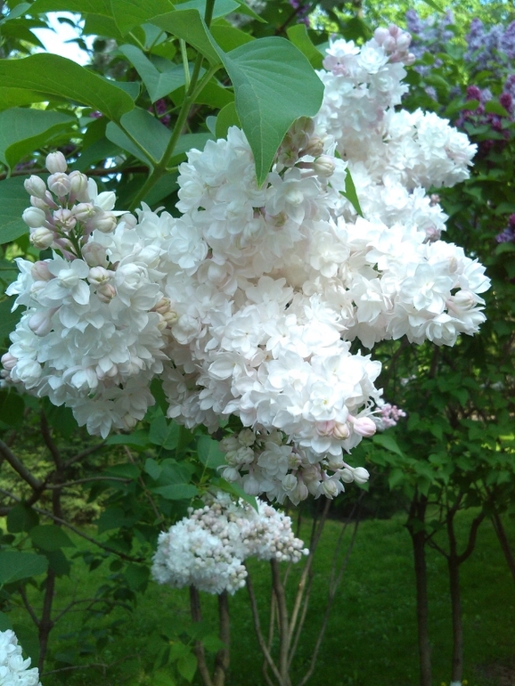 Съездила к Матронушке!