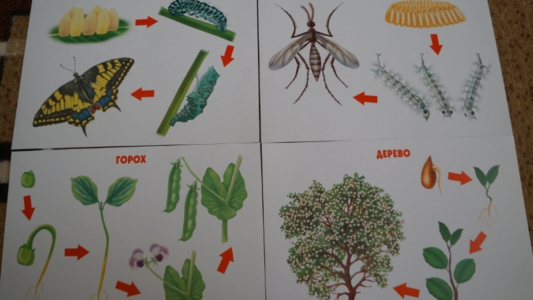 Наконец мы дождались......