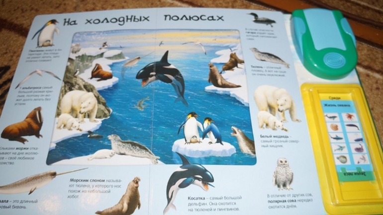 мой хвастик!!!!