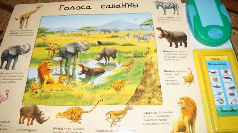 мой хвастик!!!!