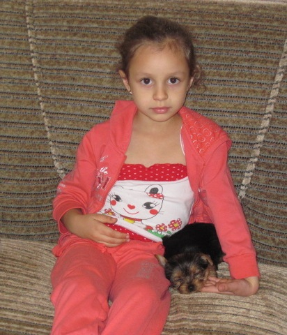 Как мы уговорили нашего папу завести щенка!