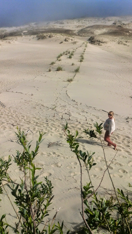 35-я неделя. Часть 2. Мини-отдых в Паланге.