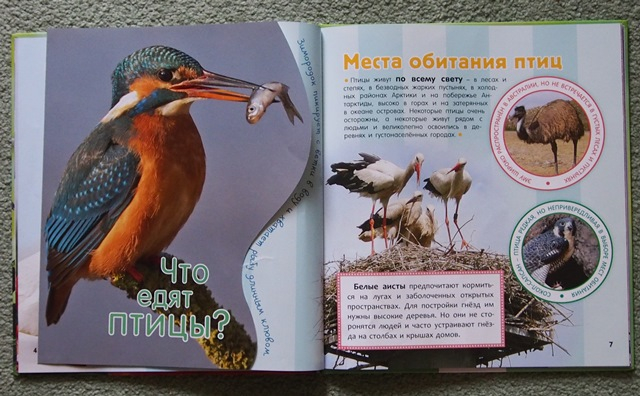 Наша скромная библиотека. Часть 1.