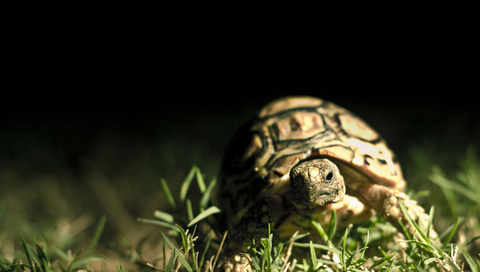 Запись на ТД