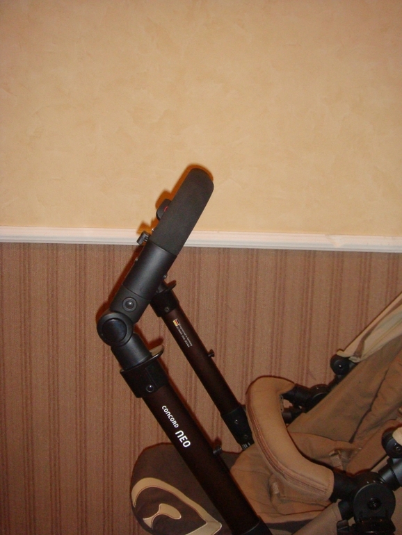 Concord Neo 2013 brown или дошли все же руки до написания обзора.