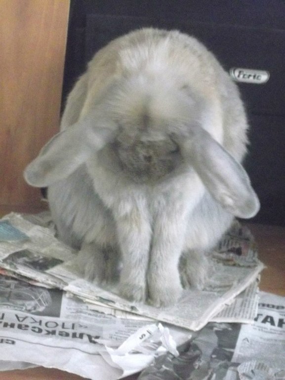 Мои любимые бутузики )))