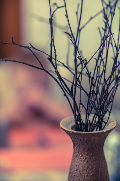 Весенний хмурый день