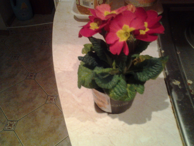 в полку прибыло....