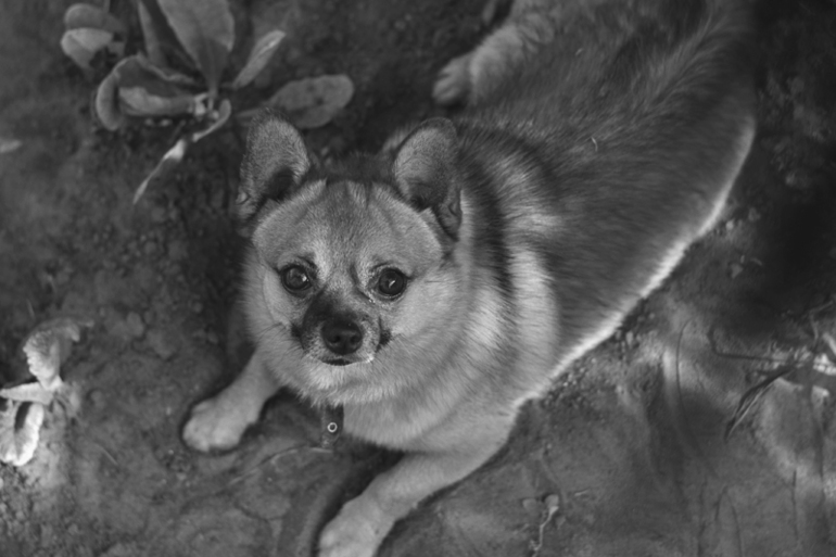 Контрольное задание № 19. Делаем черно-белое фото в Photoshop