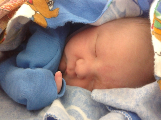 Как я Львенка родила