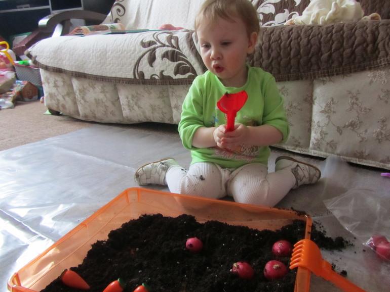 ФМ Овощи. день первый