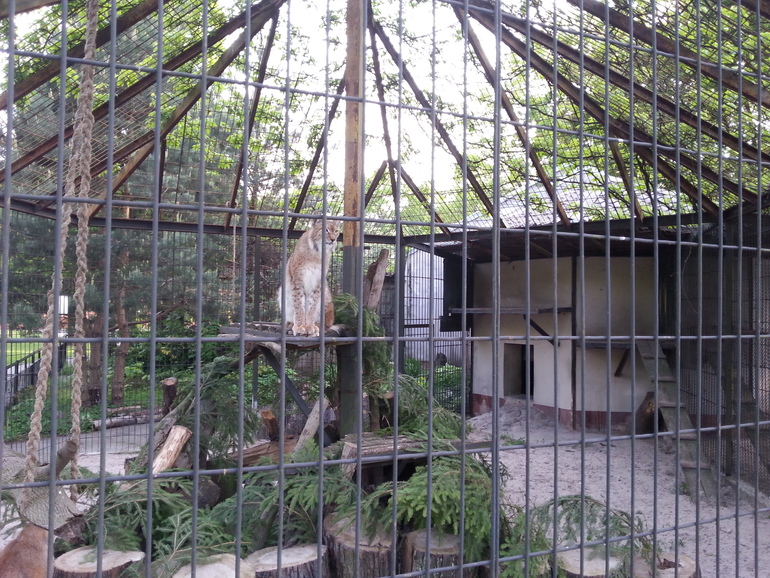 Прогулка по зоопарку)))