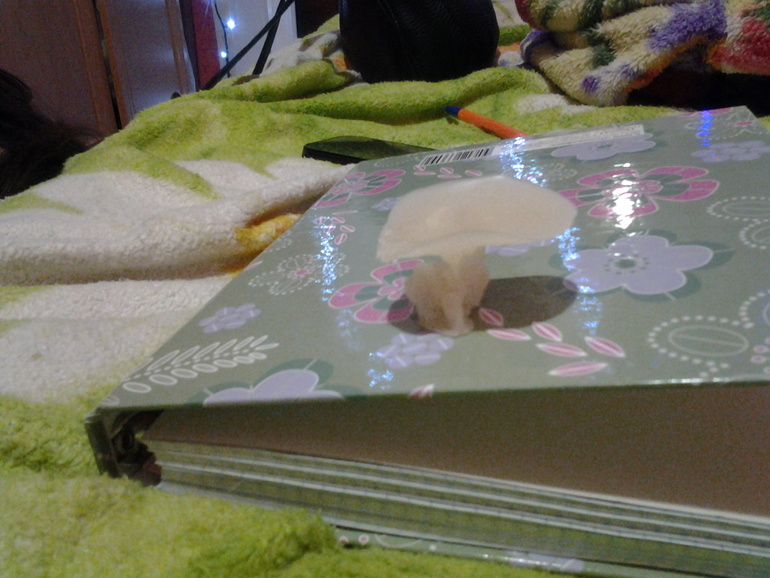 Гадание) под кат