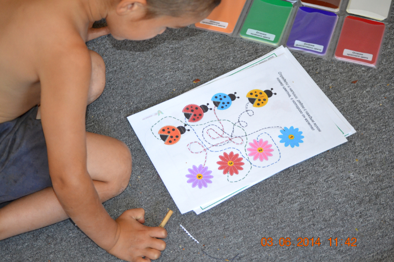 Тематическая неделька ЛЕТО. День третий. Фотоохота на насекомых.