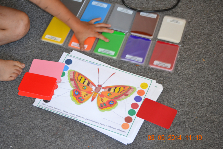 Тематическая неделька ЛЕТО. День третий. Фотоохота на насекомых.