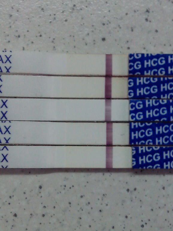 тесты затеяли темный заговор против меня)))