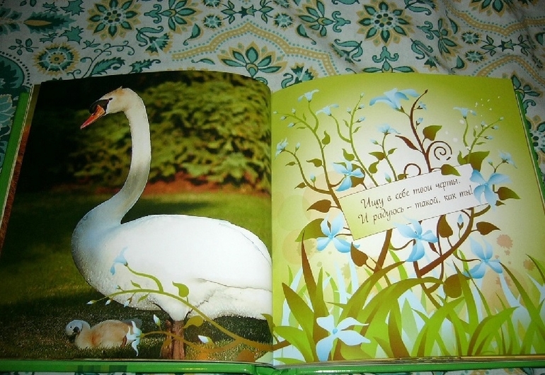 Потрясающие КНИЖКИ-ОТКРЫТКИ для самых близких и родных людей