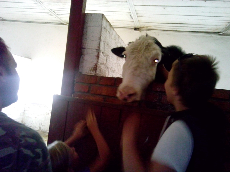 Отпуск и беременность, куда ехать?