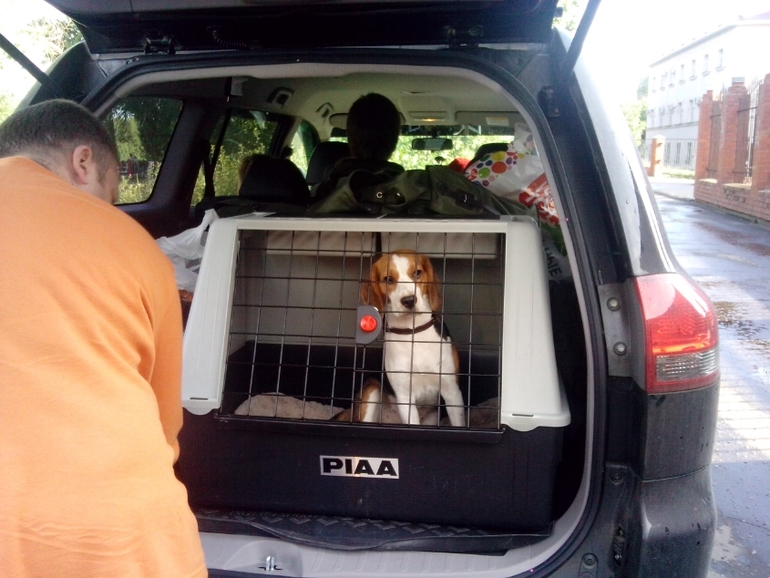 Отпуск и беременность, куда ехать?