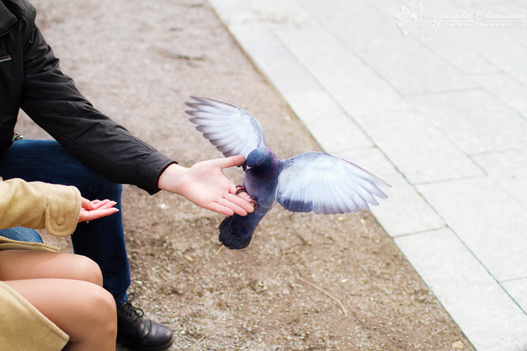 Екатерина и Илья