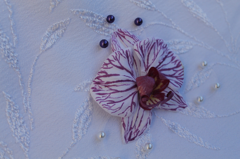 Мой орхидейный дебют