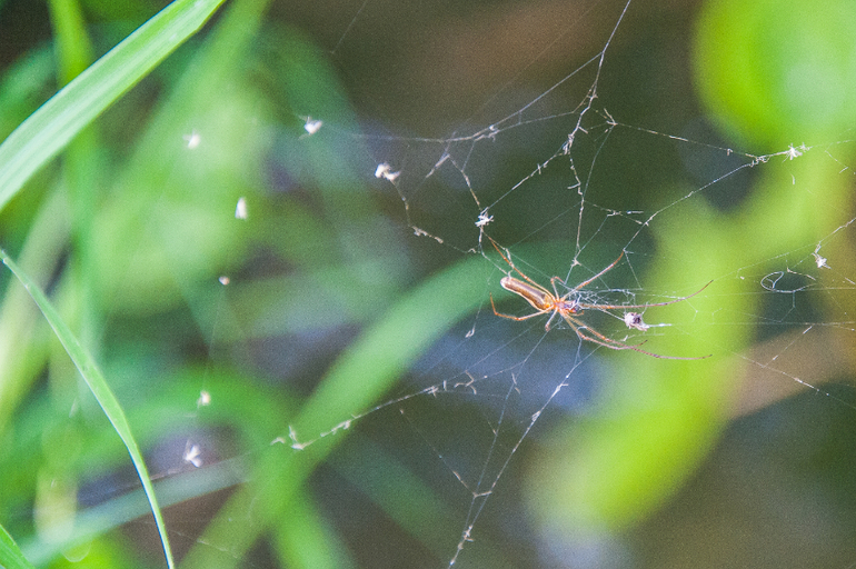 Хорватия. Регата. Рай))