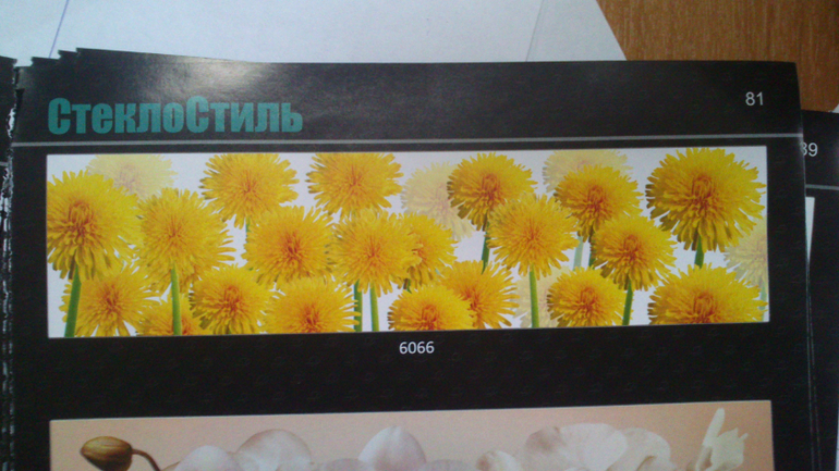 олива vs виола