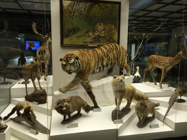 Поход в музей Дарвина