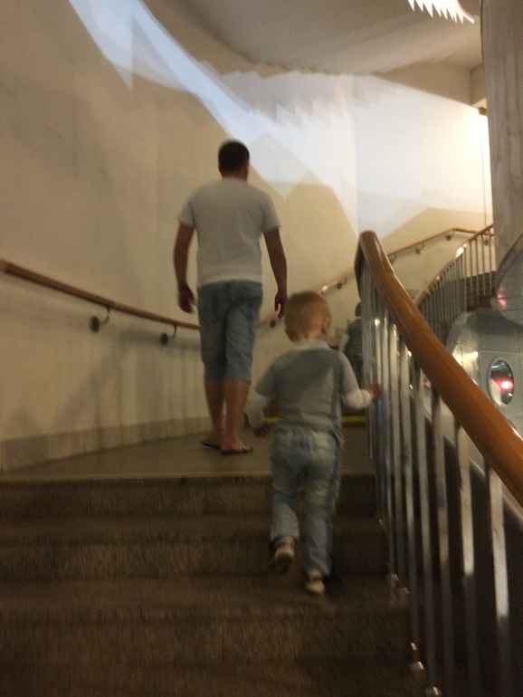 Поход в музей Дарвина