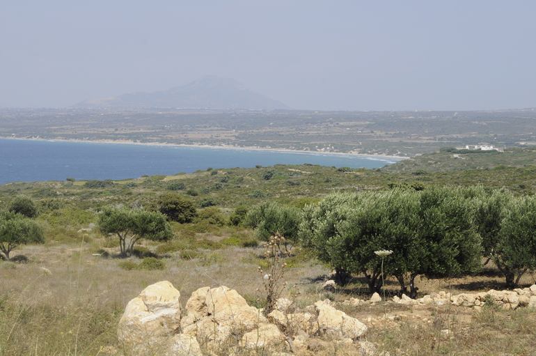 Отдых в отеле Kipriotis Village 4* (Греция, о.Кос)