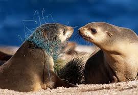 Почему многоразовые подгузники?