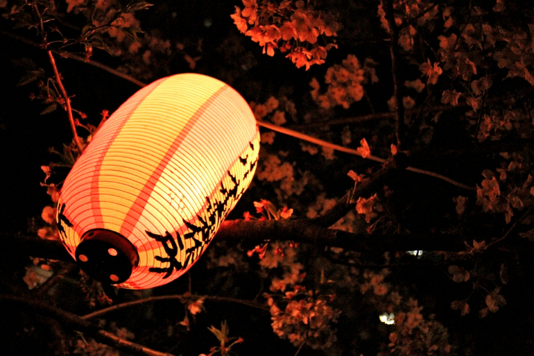 049729dbf682894b903fbe2b140530cc.jpg