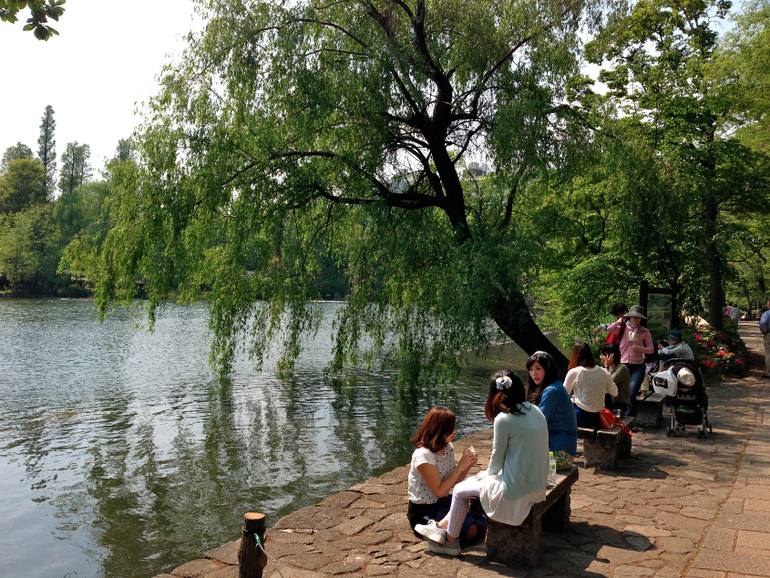 Inokashira Park...