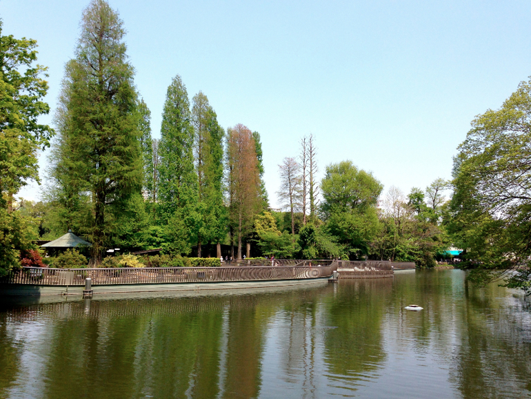 Inokashira Park...
