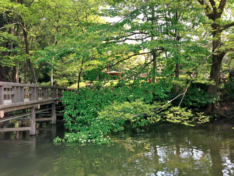 Inokashira Park...
