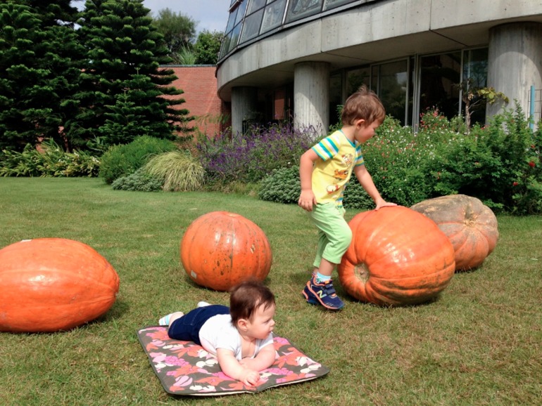 Happy Halloween!
