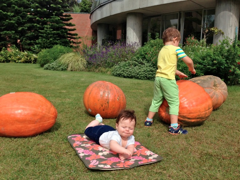 Happy Halloween!