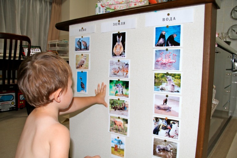 Южная Америка...