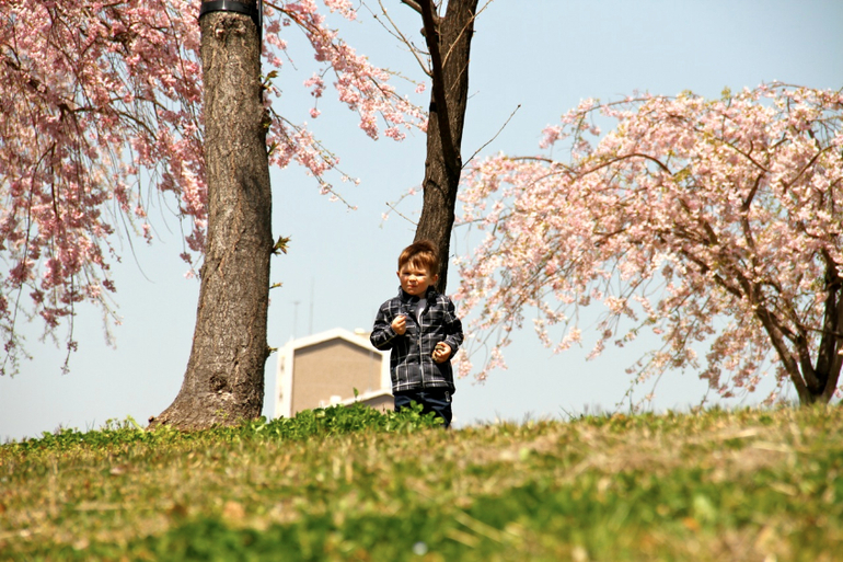 dd2ff776efcbf34b1ee8b26b78599d28.jpg