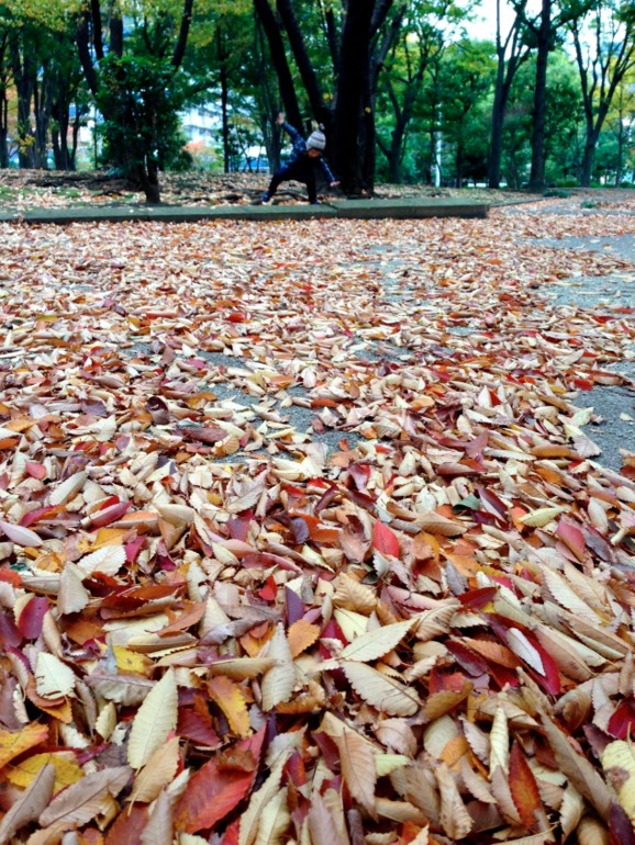 Осенняя прогулка...