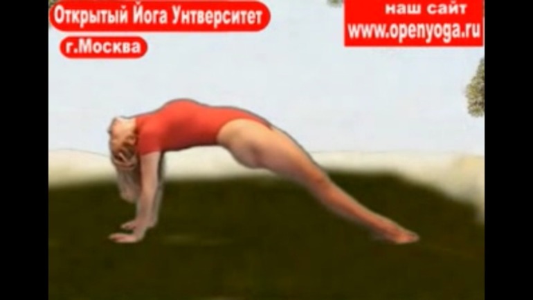 Йога... (список асан)